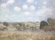 Alfred Sisley Ang oil painting